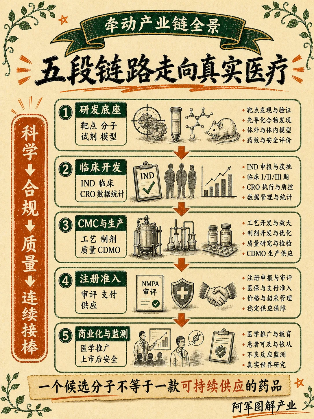创新药：图解第 3 页